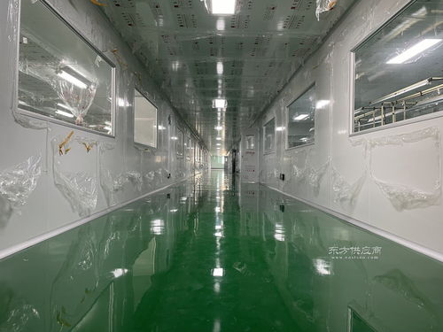 無塵無菌凈化車間 食品、化妝品、電子及日用雜品廠的設(shè)計(jì)與施工關(guān)鍵